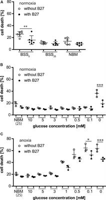 Neuronal Culture Microenvironments Determine Preferences in Bioenergetic Pathway Use